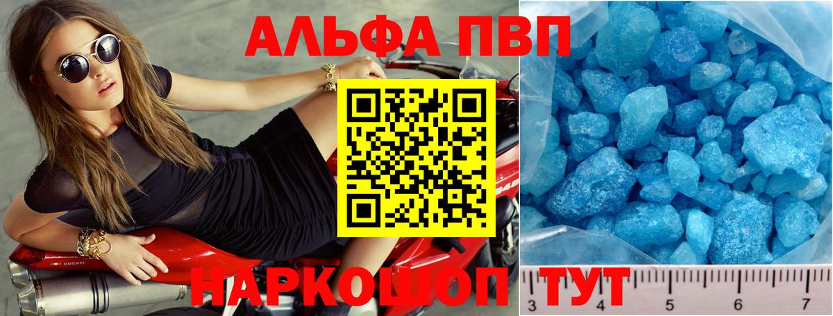 Альфа ПВП СК КРИС Коряжма