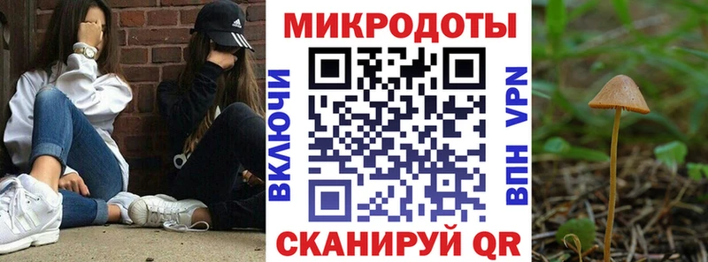 Псилоцибиновые грибы GOLDEN TEACHER  Коряжма 
