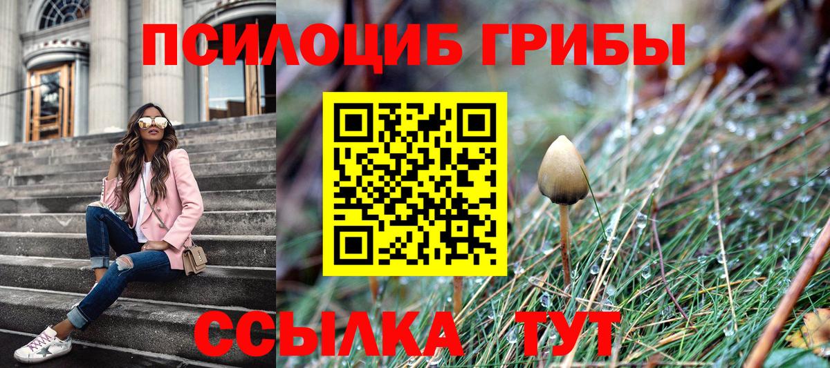 Псилоцибиновые грибы мицелий Коряжма