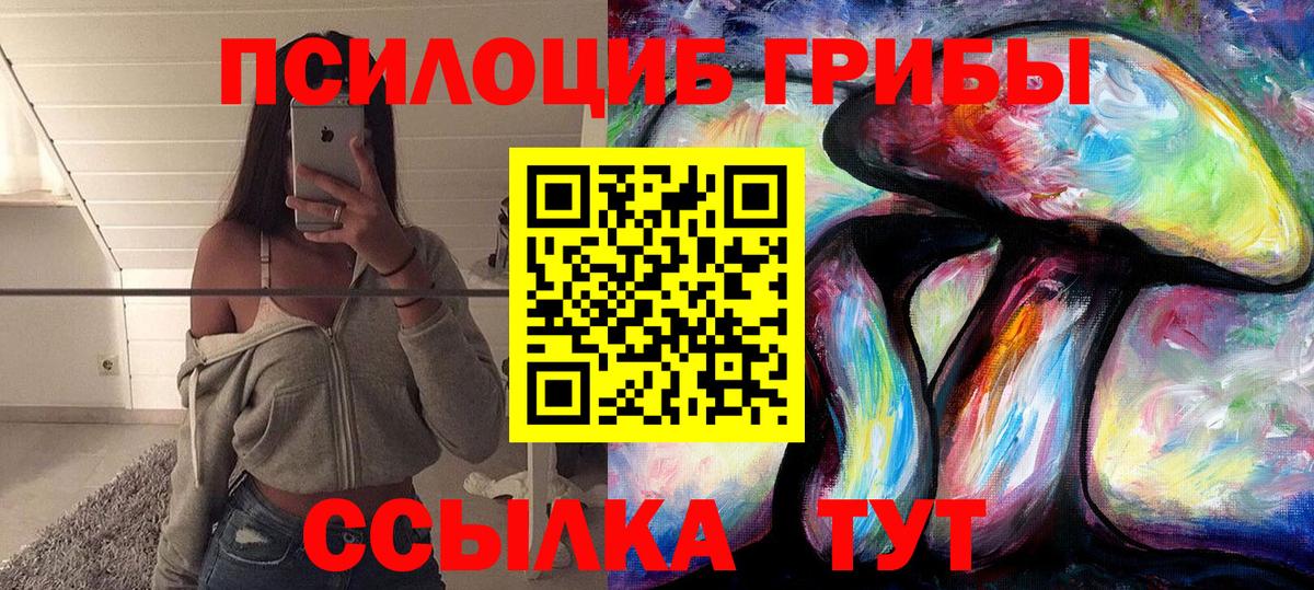 Галлюциногенные грибы Cubensis Коряжма