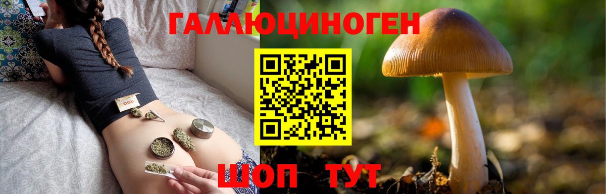 Галлюциногенные грибы MAGIC MUSHROOMS  где купить наркоту  Коряжма  Вход с VPN 