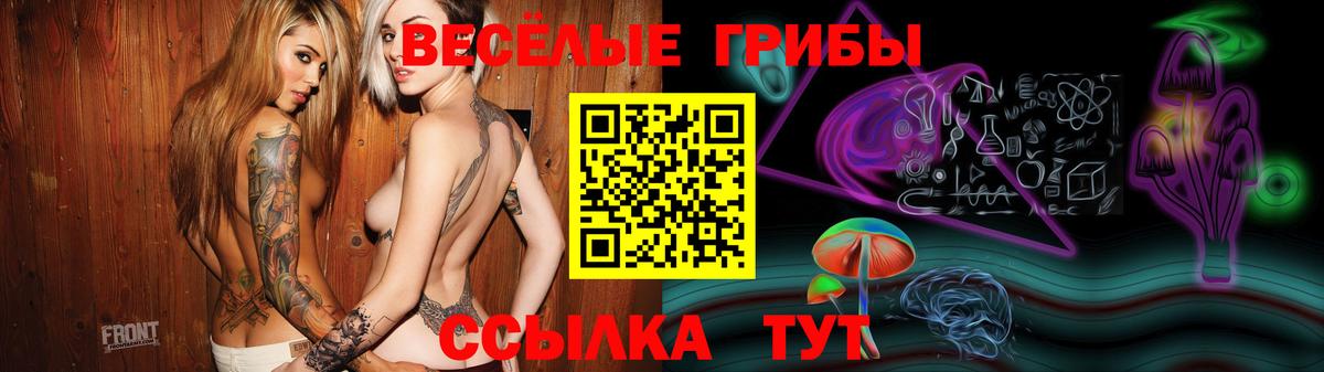 Псилоцибиновые грибы прущие грибы  Коряжма 