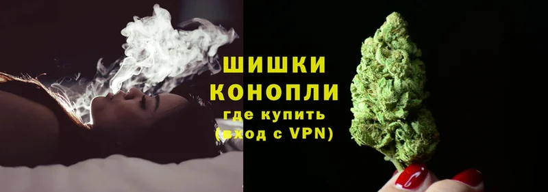 цена наркотик  Коряжма  Конопля SATIVA & INDICA 