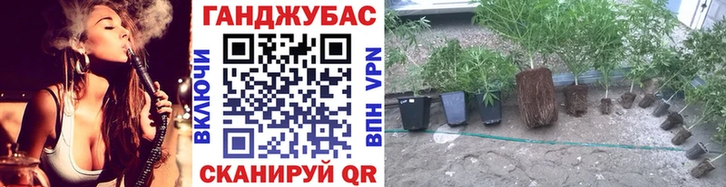Шишки марихуана OG Kush  где купить наркотик  МЕГА сайт  Коряжма 